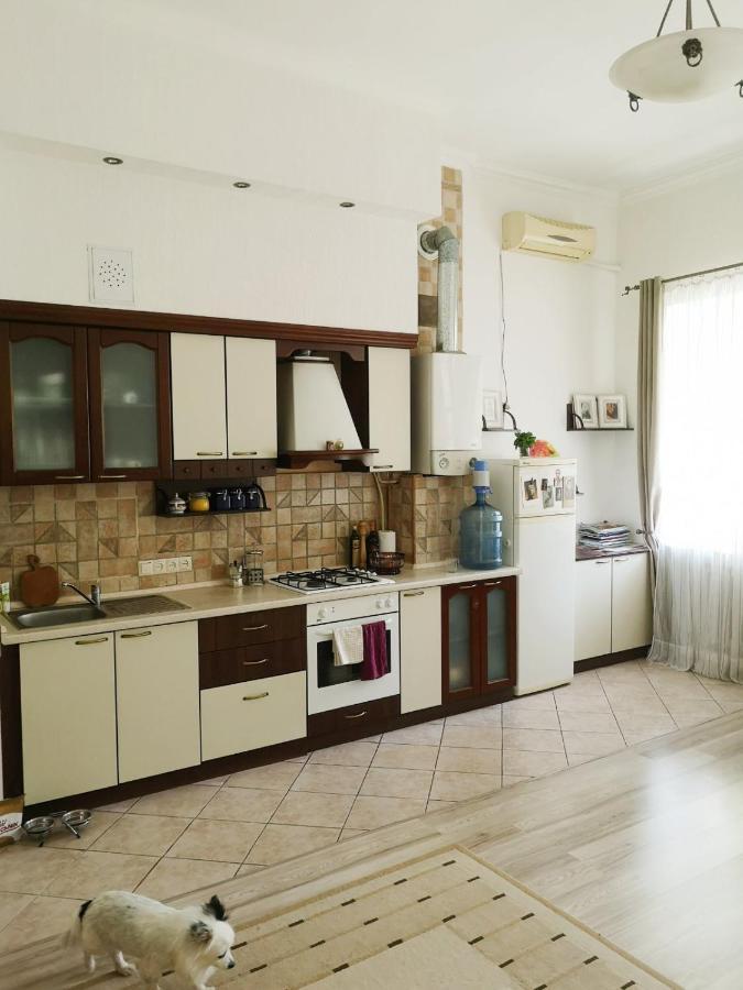 Уютная Квартира В Центре Одессы Οδησσός Εξωτερικό φωτογραφία